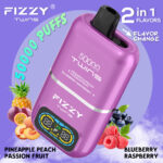 Fizzy Twins 50000 Puffs 09