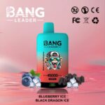 Bang Leader 45000 Puffs-Blueberry Ice & Black Dragon Ice-Disposable Vape
