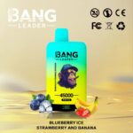 Bang Leader 45000 Puffs-Blueberry Ice & Strawberry and Banana-Disposable Vape
