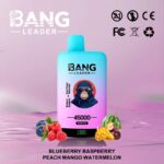 Bang Leader 45000 Puffs-Blueberry Raspberry & Peach Watermelon-Disposable Vape