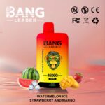 Bang Leader 45000 Puffs-Watermelo Ice & Strawberry and Mango-Disposable Vape