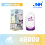 Dragon Fruit JNR LionKing 42000 Puffs