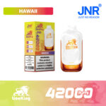 Hawaii JNR LionKing 42000 Puffs