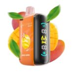 Elf Bar Raya D3 25K 01